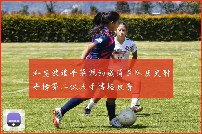 加克波追平范佩西成荷兰队历史射手榜第二仅次于博格坎普