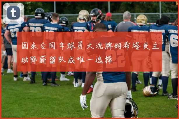 国米合同年球员大洗牌姆希塔良主动降薪留队成唯一选择